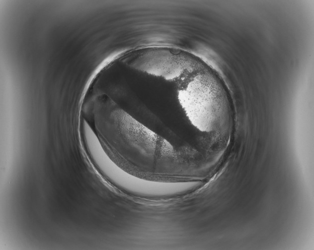 X0000086731333200704271623