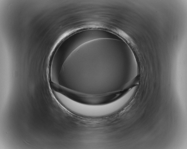 X0000086731334200704271623