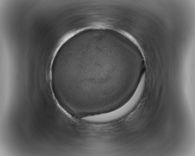 X0000086731335200704271623