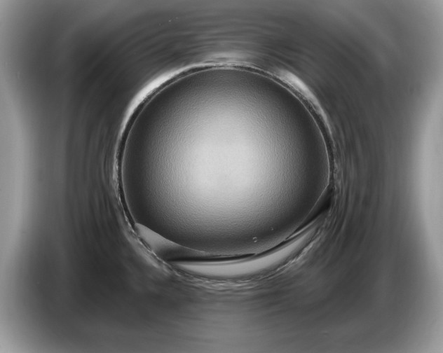 X0000086731336200704271623