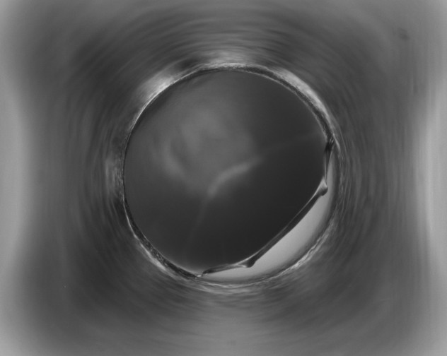 X0000086731337200704271623