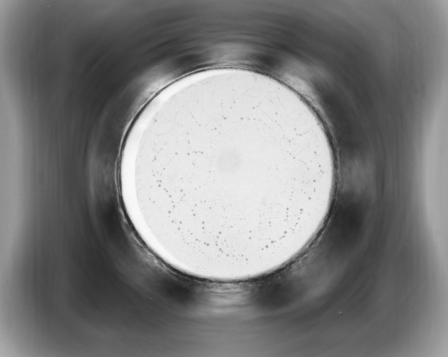 X0000086731338200704271623