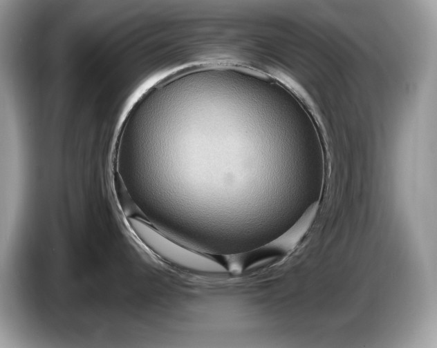 X0000086731344200704271623