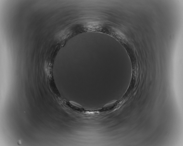 X0000086731346200704271622