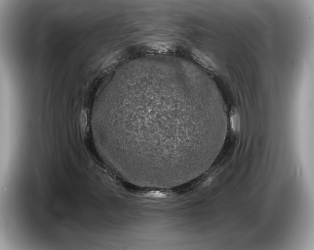 X0000086731347200704271622