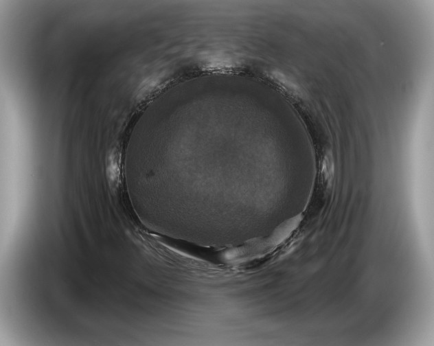 X0000086731348200704271622