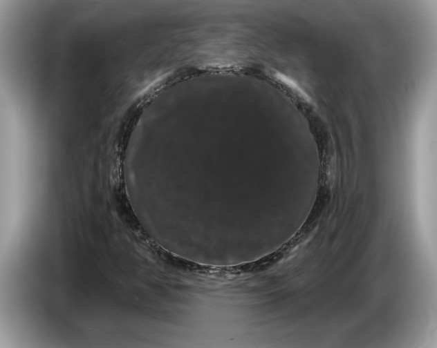 X0000086731350200704271622