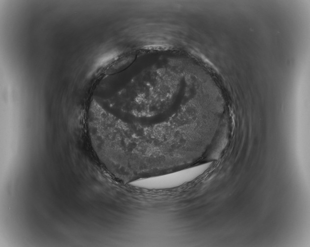 X0000086731351200704271622