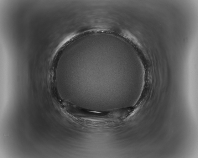 X0000086731352200704271622