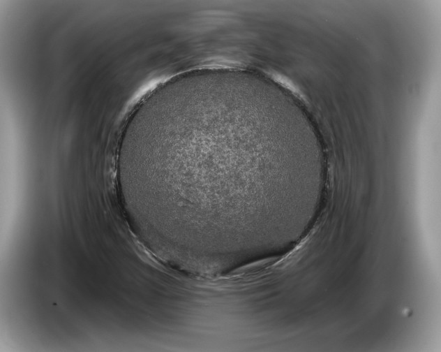 X0000086731355200704271622