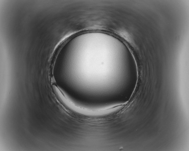 X0000086731356200704271622