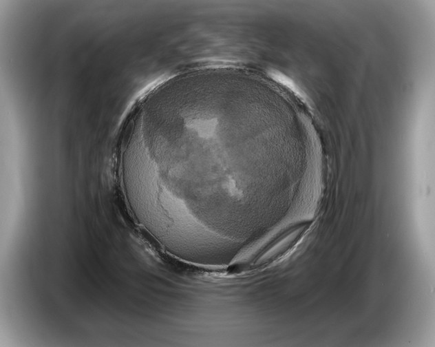 X0000086731357200704271622