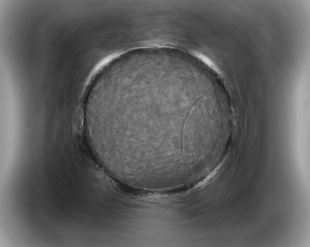 X0000086731358200704271622