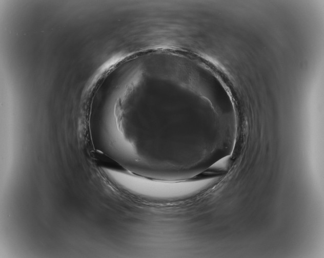 X0000086731359200704271622