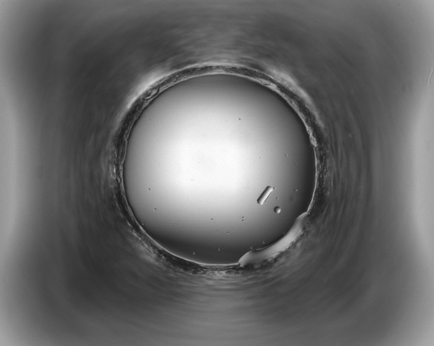 X0000086731360200704271622