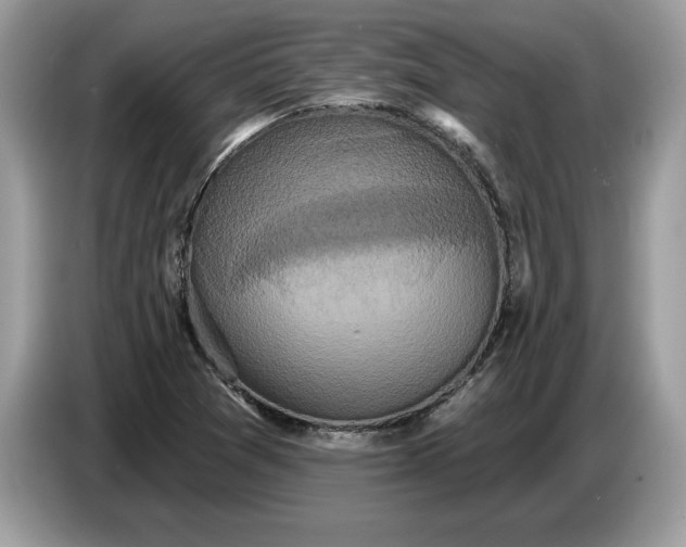 X0000086731361200704271622