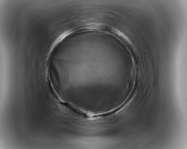 X0000086731362200704271622