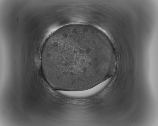 X0000086731363200704271622