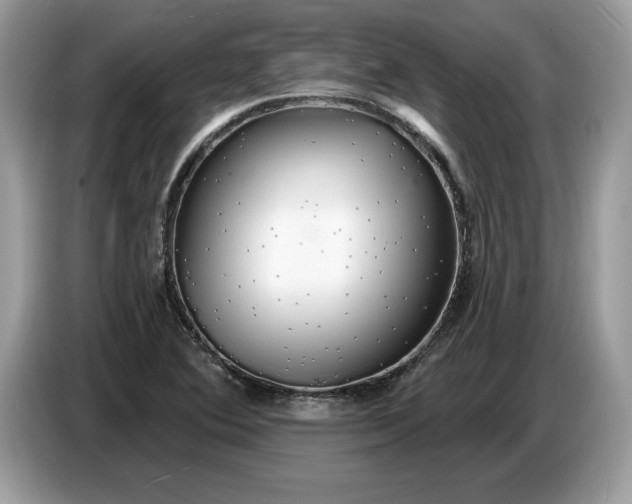 X0000086731364200704271622