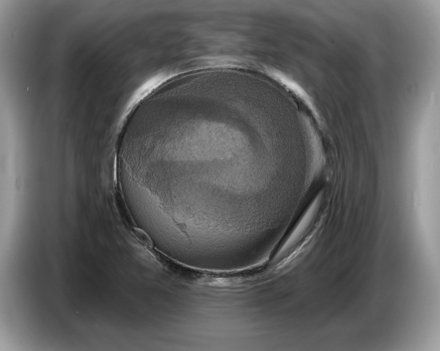 X0000086731365200704271622