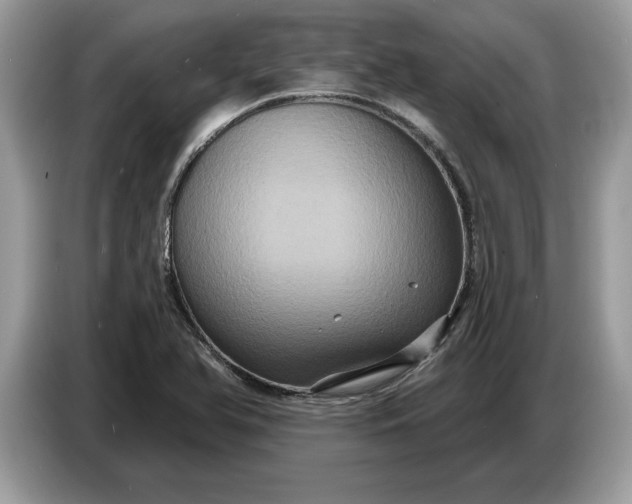 X0000086731366200704271622