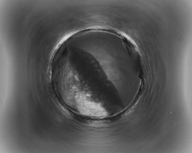 X0000086731367200704271622