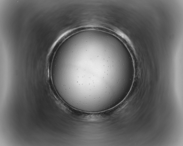 X0000086731368200704271622