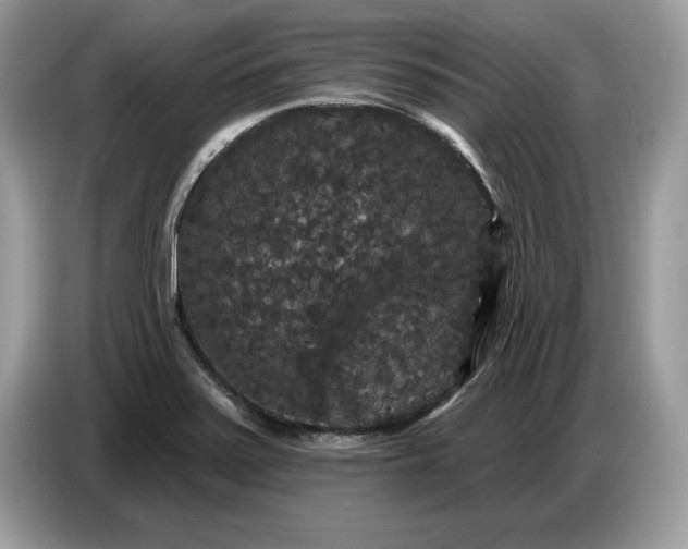 X0000086731371200704271622