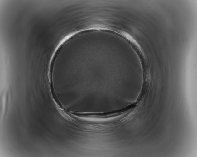 X0000086731372200704271622