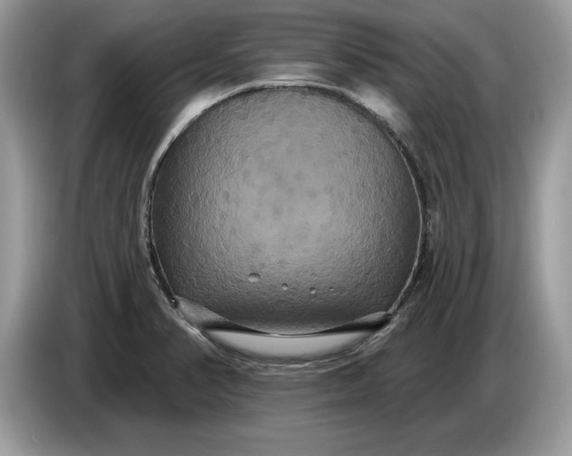 X0000086731374200704271622