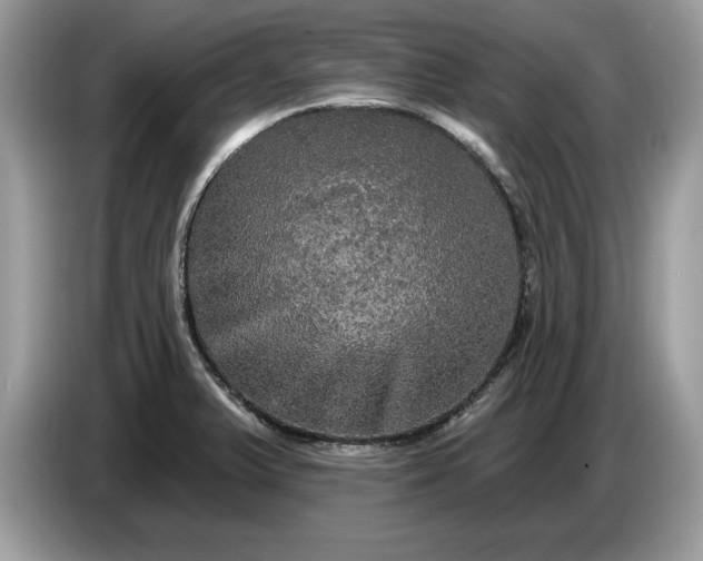 X0000086731375200704271622