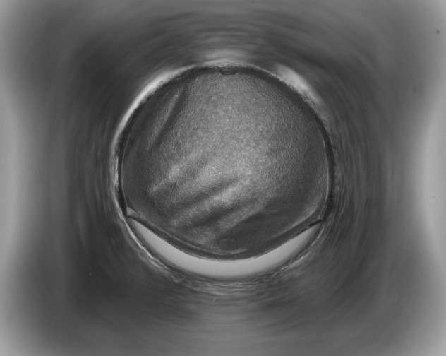 X0000086731376200704271622