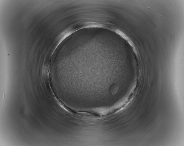 X0000086731377200704271622