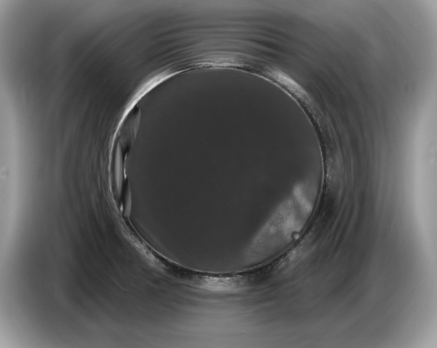 X0000086731378200704271622