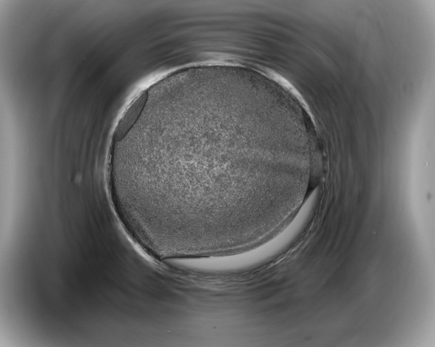 X0000086731379200704271622