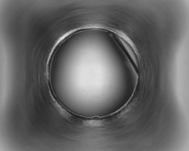 X0000086731380200704271622