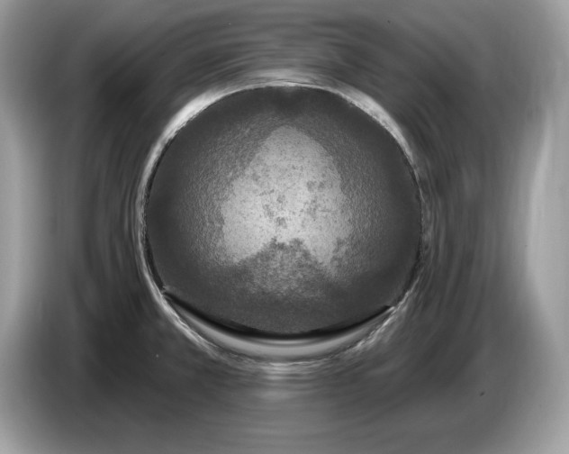 X0000086731381200704271622