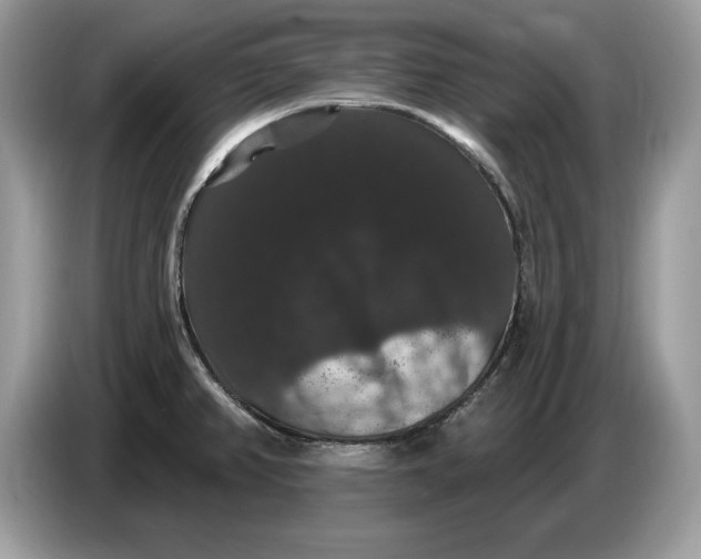 X0000086731382200704271622