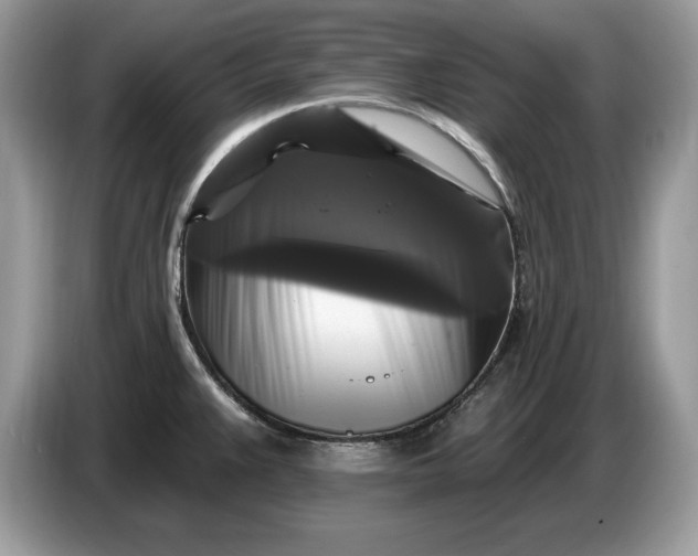 X0000086731383200704271622