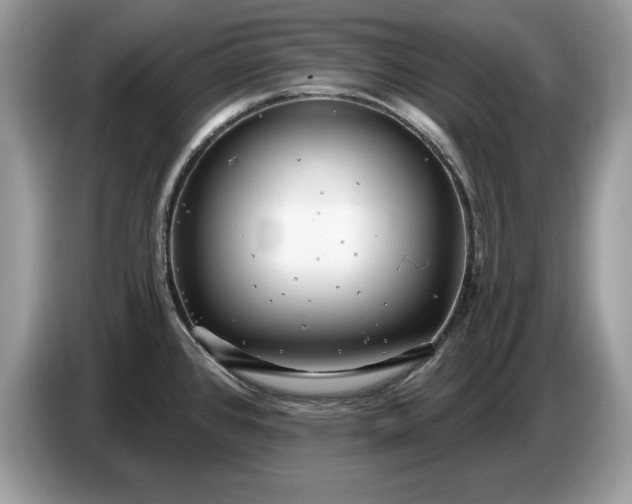 X0000086731384200704271622