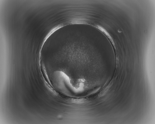 X0000086731386200704271622