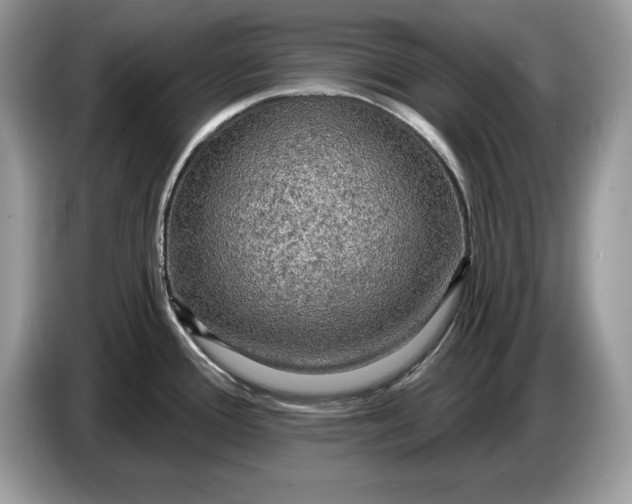 X0000086731388200704271622