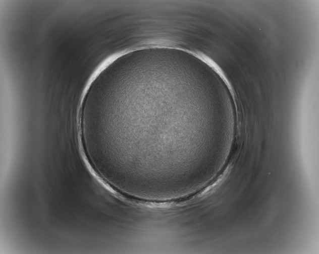 X0000086731389200704271622