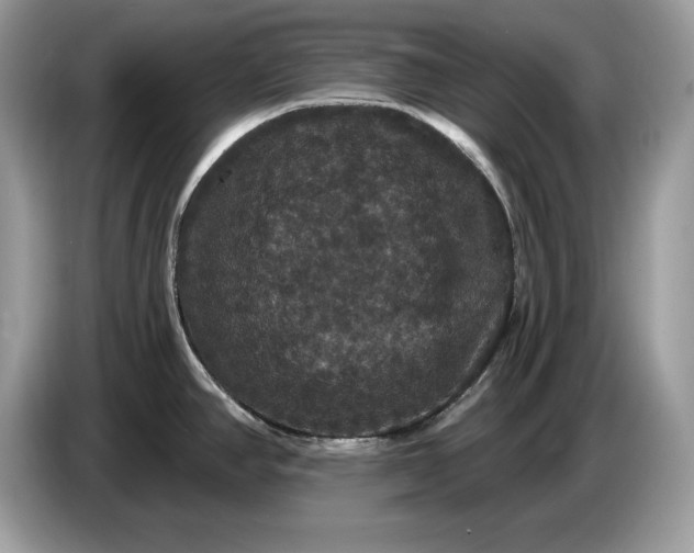 X0000086731390200704271622