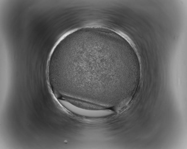 X0000086731392200704271622