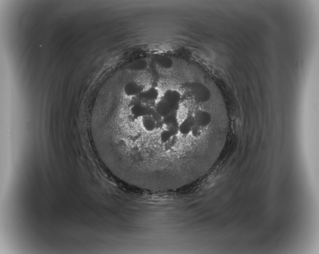 X0000086731393200704271621