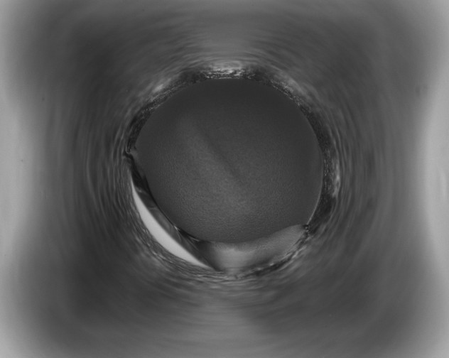 X0000086731394200704271621