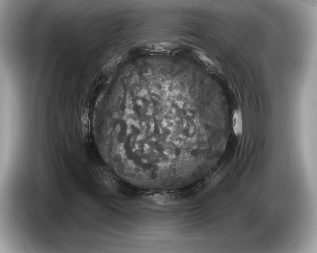 X0000086731395200704271621