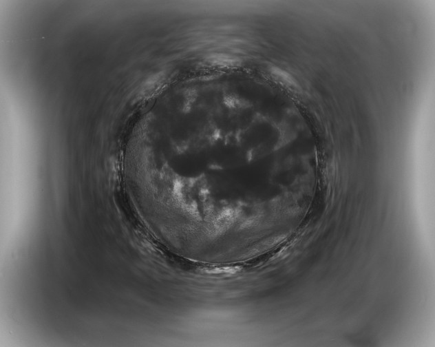 X0000086731397200704271621