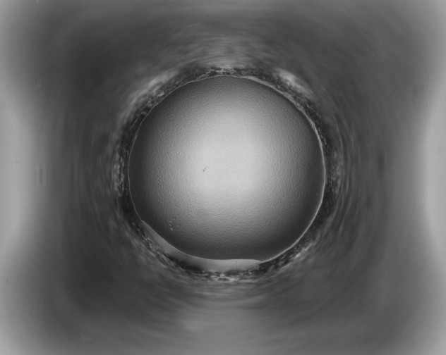 X0000086731398200704271621